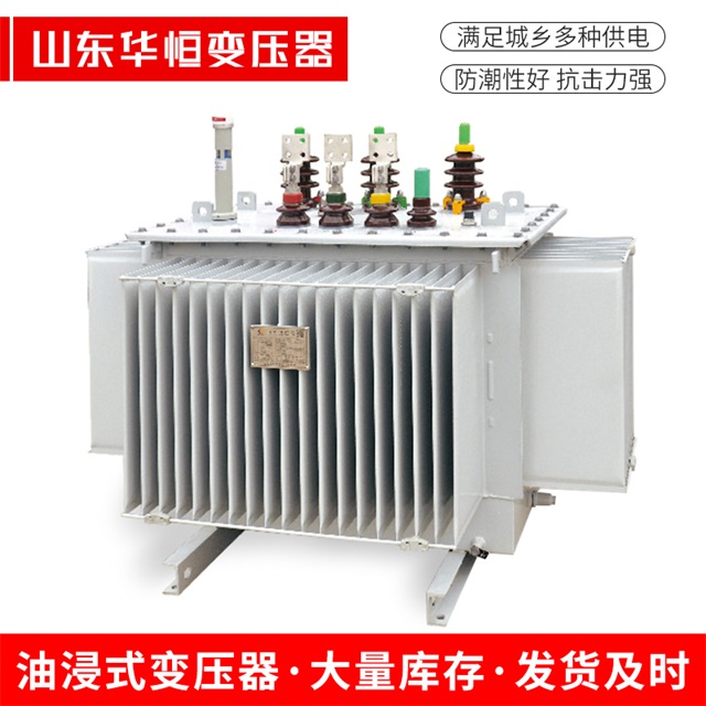 S13-10000/35乐平乐平乐平电力变压器