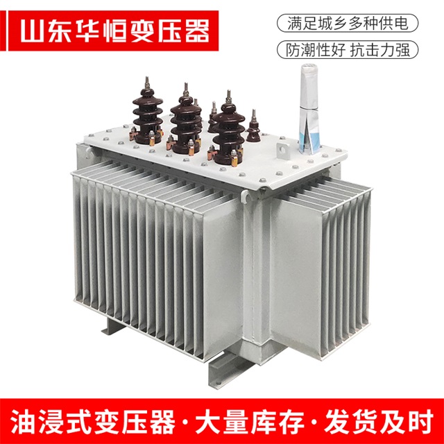 S13-10000/35乐平乐平乐平油浸式变压器厂家